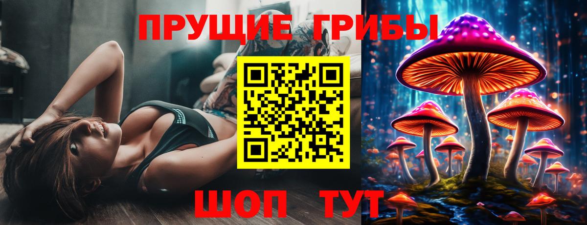 Псилоцибиновые грибы GOLDEN TEACHER Дербент