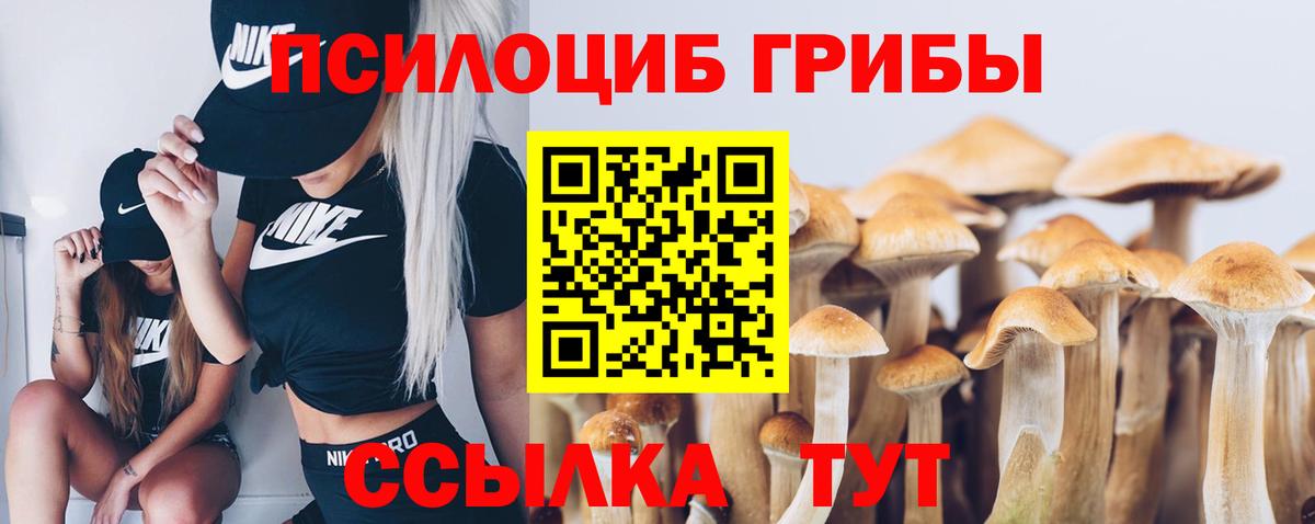 Дербент  Псилоцибиновые грибы прущие грибы  Вход с VPN 
